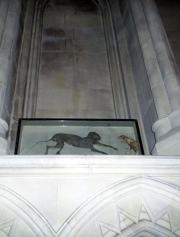 A trip into Dublin - Christchurch Cathedral.