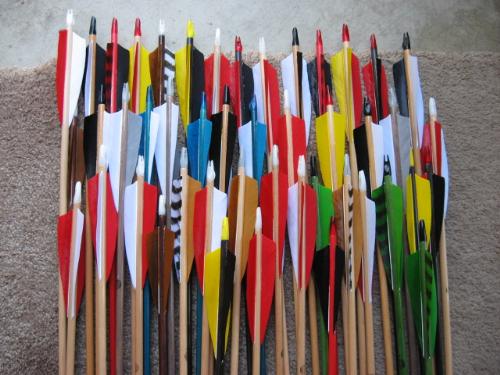 Wooden Arrows - Some arrows my boyfriend made. Real wood, real feathers.