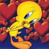 tweety - my favorate cartoon character!