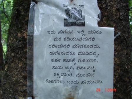 nagavana - idu nagavana