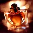 perfume - its a pic of a perfume   its too beutifully photographed..................  its amazing to see it.........