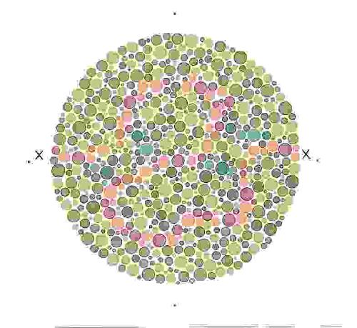 Color blind check - This is a picture which checkes wethere you are color blind or not. If you can see the number shown your&#039;e not