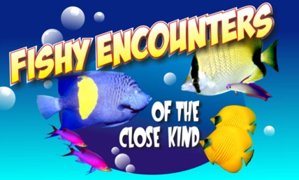 fish - fishy encounter
