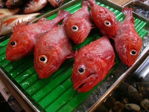 Do you prefer your fish steamed, fried or raw? - A picture of many fish.