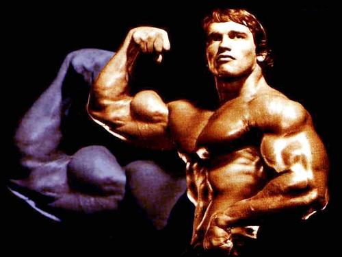 Arnold - arnold showing his muscules..!