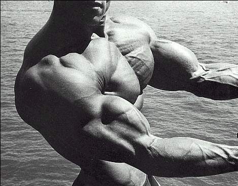 arnold biceps - arnold biceps were the biggest amongst till date..
