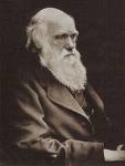Darwin - Charles Darwin Father of Evolution