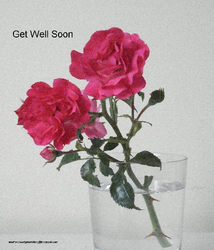 Get Well Soon - This is a photo to try to help us all to concentrate on those things we can do rather than those we can't.