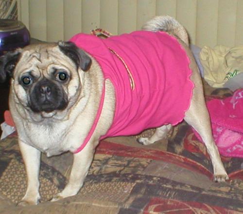 My Baby Fortune Cookie - She is so Sweet!