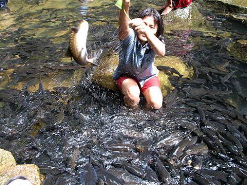 Vacation...fishing - Trying to get fish by hands....hehehhe