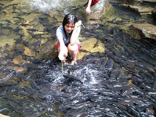 Vacation...still not enough - still not enough fish to caught?just came here.....