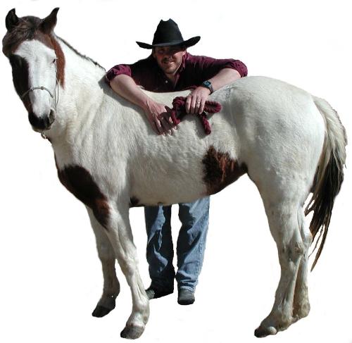 Me and my Horse - My and my gorgeous Horse, Salvador