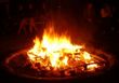 Got Marshmallows? - Toasty campfire.