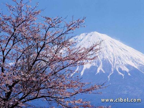 nature - its about picture of nature...  loving it?