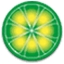 Lime Wire - Lime Wire Icon