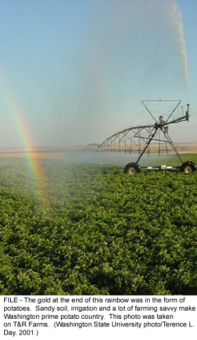 Irrigation is the way to go - Where rains are unreliable, food production will always go on all year round!
