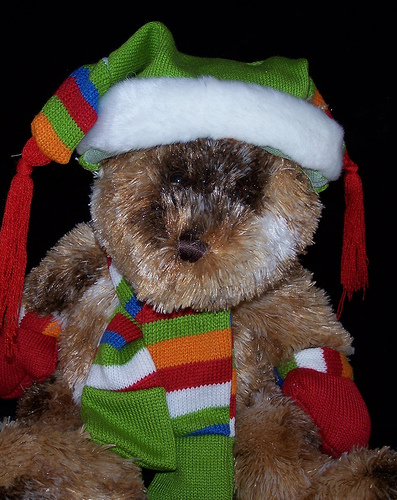 crissy bear - my cute Christmas bear