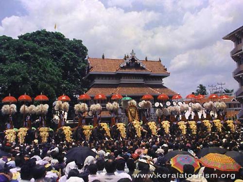 trissuer pooram - this is the festival where lots of elephants are standing in a line 