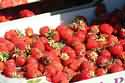 Strawberries - Fruit - Strawberries