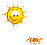 Hot days - Hot days and flowers