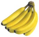 banana - a handful of bananas