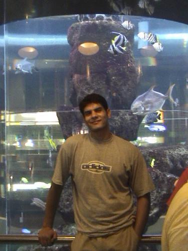 Underwater world - Sentosa
