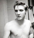 elvis - nude elvis