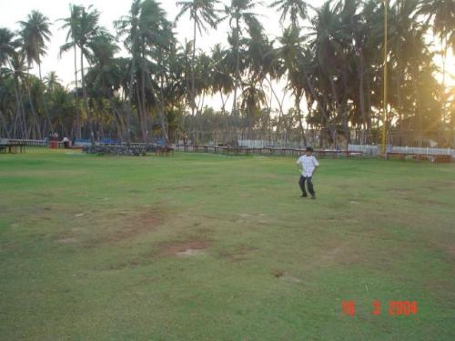 Chennai Nature - Chennai (formerly Madras) is a beautiful city in South  India . It is very rich with sea beach and trees ...