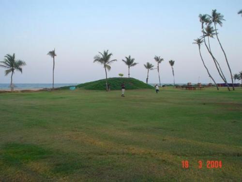 Chennai Nature - Chennai (formerly Madras) is a beautiful city in South  India . It is very rich with sea beach and trees ...