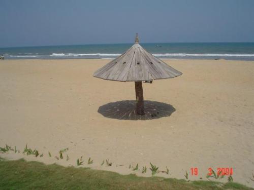 Chennai Nature - Chennai (formerly Madras) is a beautiful city in South  India . It is very rich with sea beach and trees ...