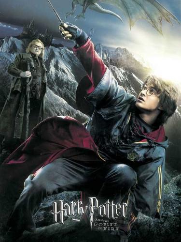 harry potter - the real wizard