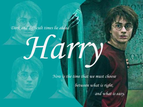 harry potter - the real wizard