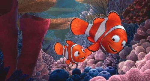 finding nemo - finding nemo photos