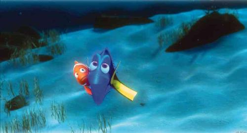 finding nemo - finding nemo photos