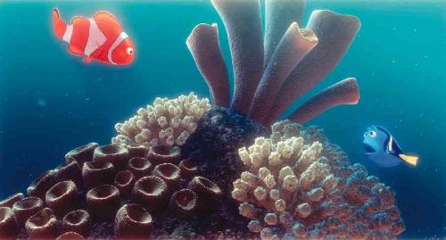 finding nemo - finding nemo photos