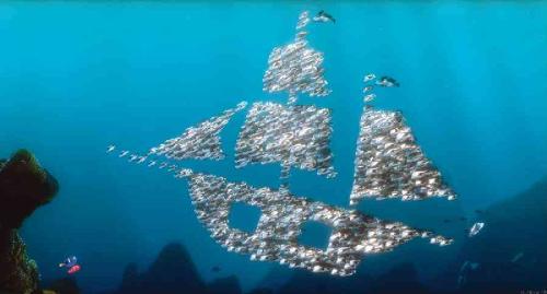 finding nemo - finding nemo photos