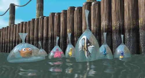 finding nemo - finding nemo photos