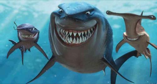 finding nemo - finding nemo photos