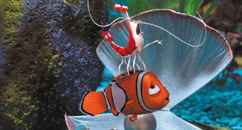finding nemo - finding nemo photos