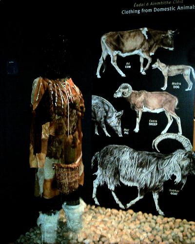 Visitor Center Newgrange - Stone age culture on display at Newgrange.