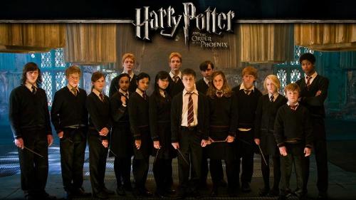 Harry Potter and the Order of the Phoenix - Harry Potter and the Order of the Phoenix, Secret Society