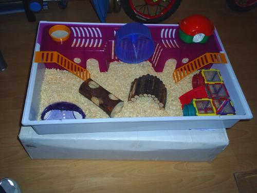 hamster's cage - nice cage