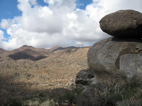desert view - more rocks