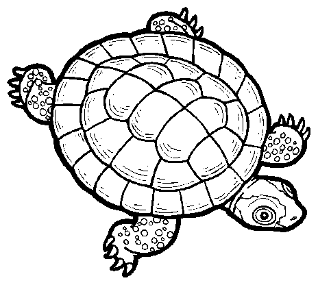 Turtle - my mylot page goes too slow as a turtle