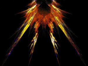 eagle fire - amazing eagle fire.