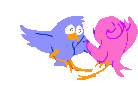 Love birds - what are women attracted to and why?