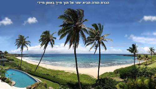 The Secret - The gratitude beach I mage - The gratitude beach from the Israeli site "The Secret"