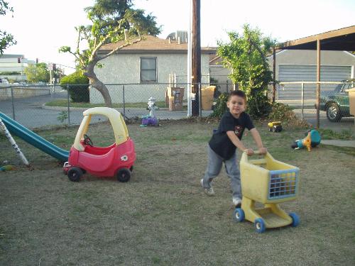 5 year old grandson 'shopping' - We are so frugal that we shop in our backyard! LOL That way we don't spend any money!