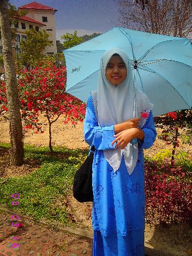 with tree - dengan pokok