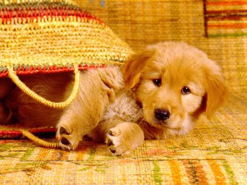 Hi..how do you do? - Good morning....have a nice day!!